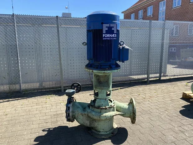 Image 3 of 5 - Iron Pump - CNLB 250-250/315