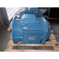 ABB - M2AA 132 SB