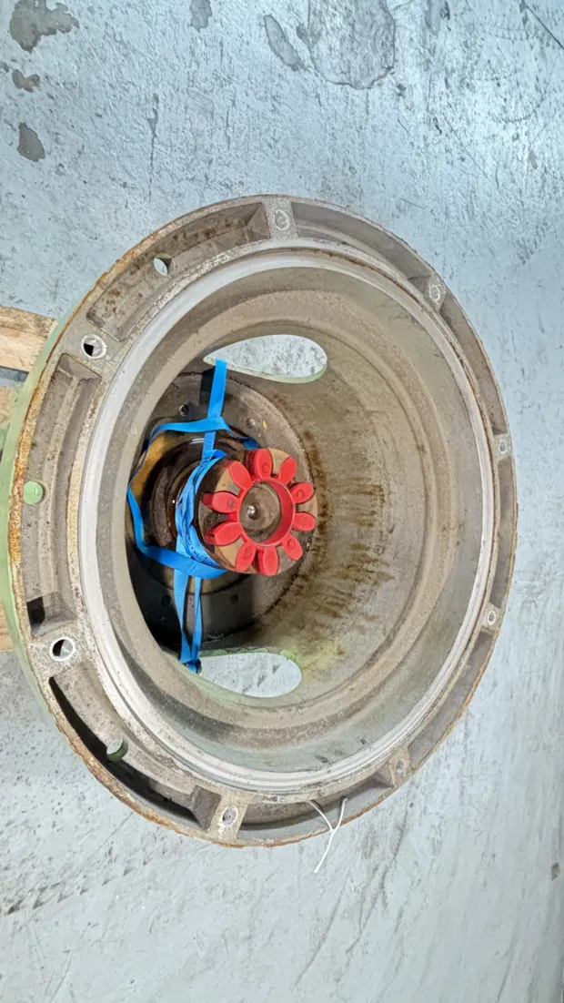 Image 8 of 9 - HP1009