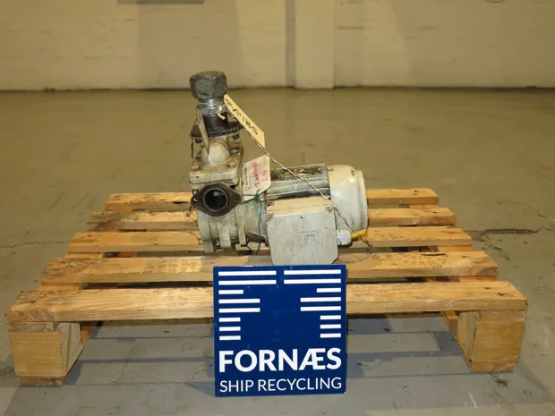 Image 3 of 5 - Alfons Haar - FP SX 25-67