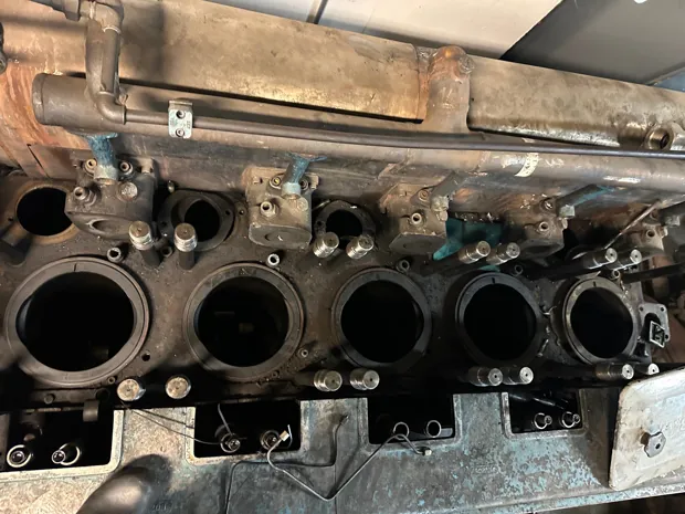 Image 10 of 11 - Alpha - 5T 23L - KVO