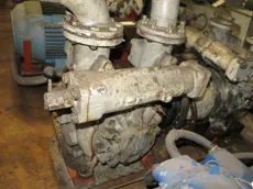 Norwinch - P31