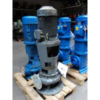 Iron Pump - CNLB 125-100/250