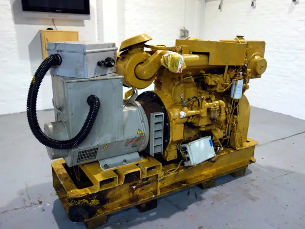 Image 4 of 6 - Caterpillar