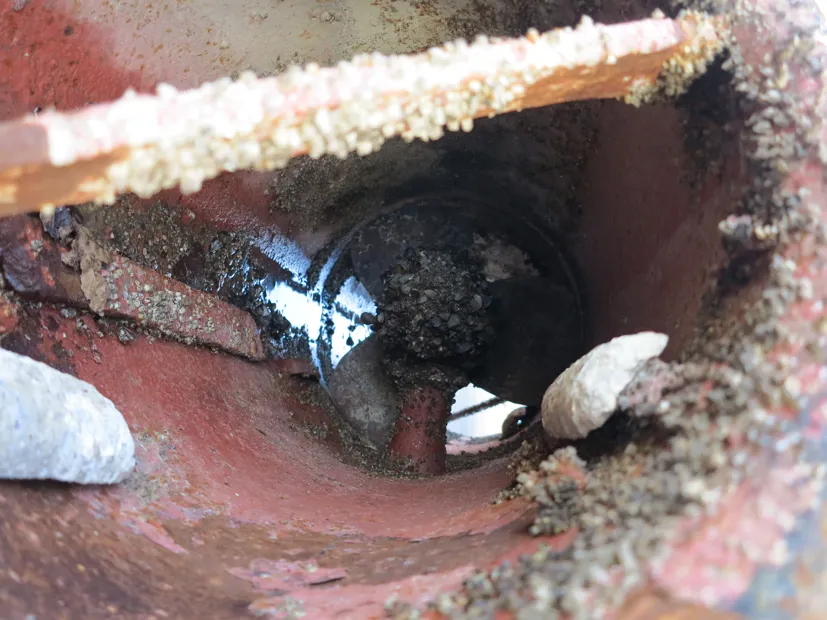 Image 5 of 6 - No plate