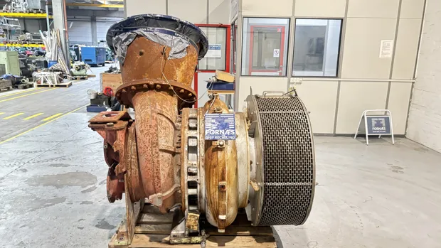 Image 1 of 8 - Napier  - NA357